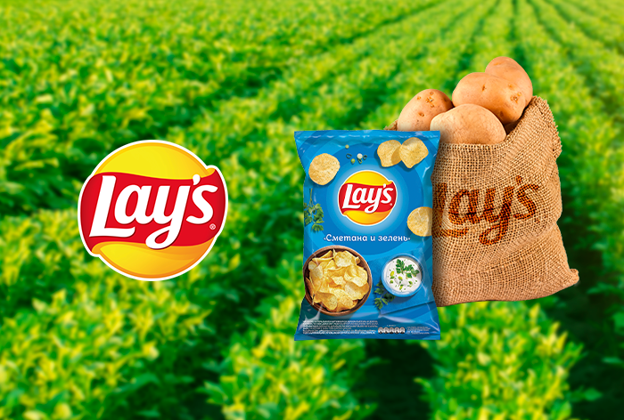 Картинка Кейс Lay's: как на основе больших данных запустить видеорекламу и увеличить продажи в супермаркетах