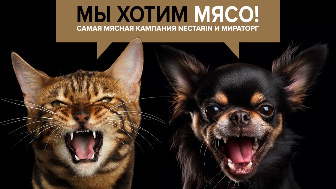 Картинка Кейс Nectarin и «Мираторг»: как получить 48 млн показов за 2 месяца