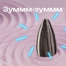 Картинка Зуммм-зуммм