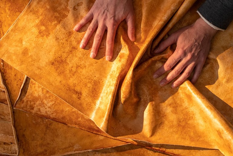 Картинка Производитель «кожи» из грибов для Hermès привлек $125 млн инвестиций