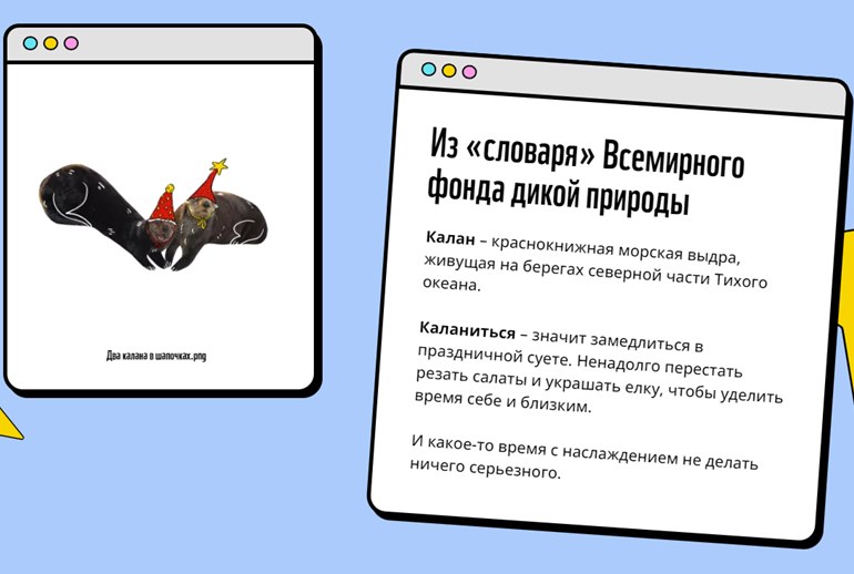 Картинка WWF запустил флешмоб #якаланюсь в поддержку исчезающей морской выдры