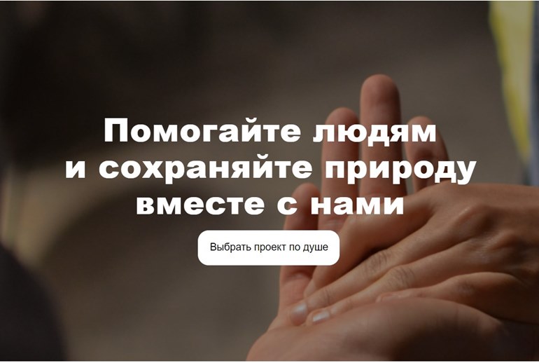 Картинка «Авито» запустил цифровой проект для социальной помощи