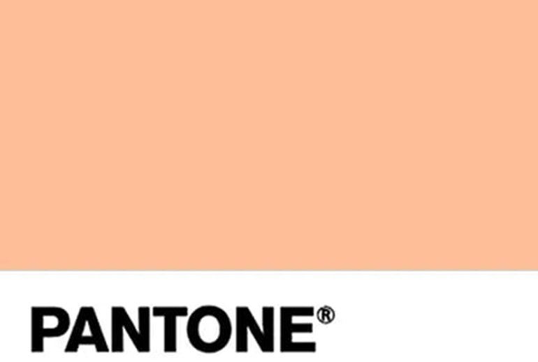 Картинка «Персиковый пушок» стал цветом 2024 года по версии Pantone