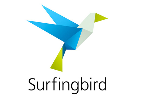 Картинка Surfingbird оценили в $10 млн