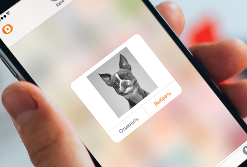 Картинка Стикеры из мессенджера «ОК Сообщения» стали доступны в iMessage