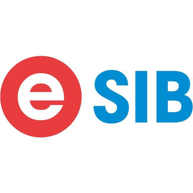E‑SIB 2020