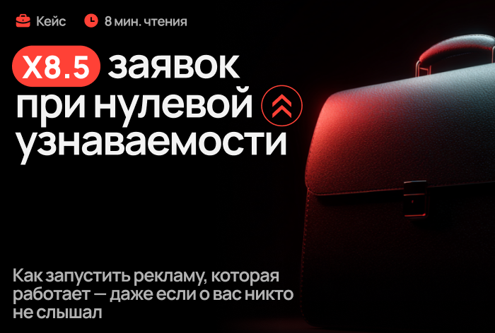 Картинка Кейс Demis Group и Any Service: как запустить рекламу, которая работает, даже если о сайте никто не слышал