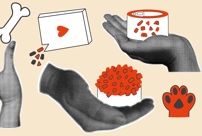 Картинка Кейс «Четыре Лапы» и TWIGA Interactive: как получить охват почти 280 тысяч благодаря новому позиционированию