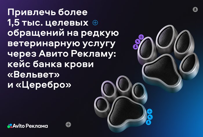 Картинка Кейс «Вельвет», «Церебро» и «Авито Реклама»: как привлечь более 1,5 тысячи целевых обращений за полгода на редкую ветеринарную услугу