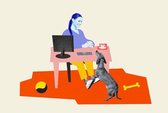 Изображение к Когда пес — целевая аудитория: зачем бренды создают контент для животных