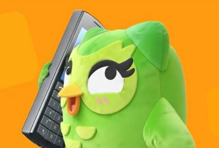 Изображение к Duolingo отправил своего маскота на рынок труда вместо выгоревших зумеров