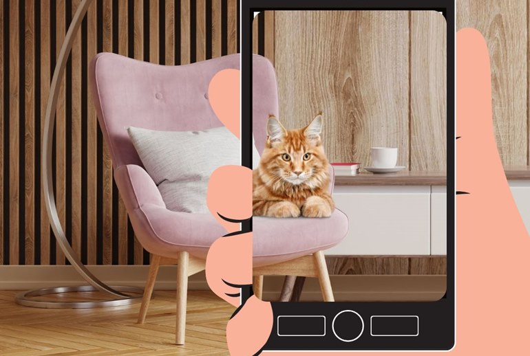 Картинка Teddy Food создал AR-проект с возможностью увидеть питомца из приюта у себя дома