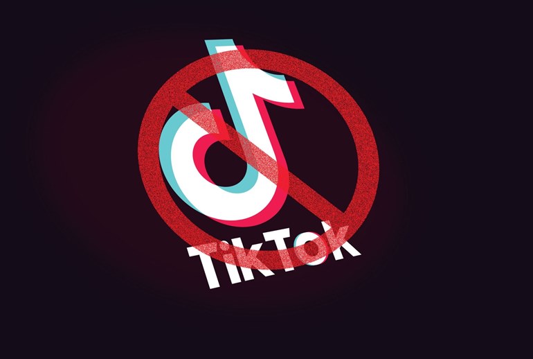 Картинка к Власти США призывают Google и Apple удалить TikTok из своих магазинов приложений
