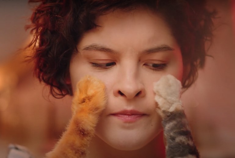 Картинка Vivienne Sabo снял рекламу с котами в главной роли 