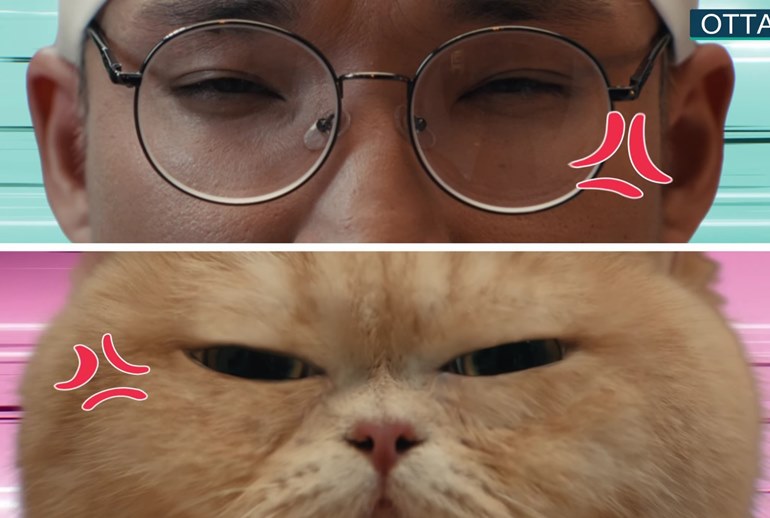 Картинка «Студия Лебедева» сняла ролик про чистоплотного кота для корейского бренда
