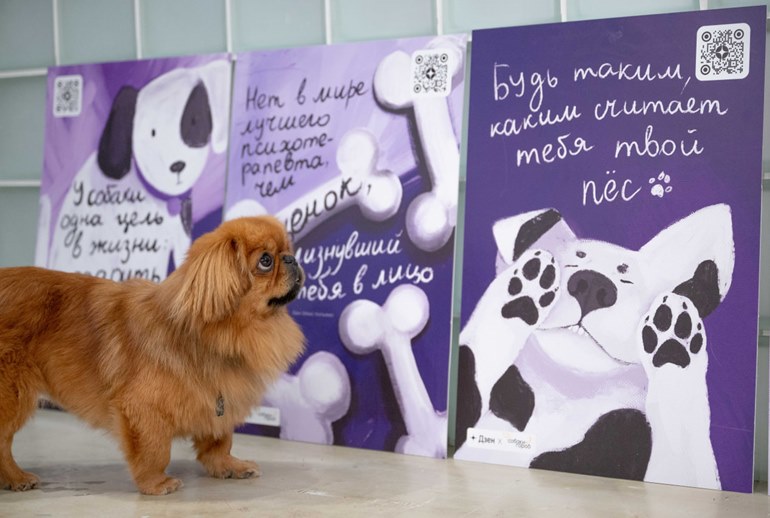 Картинка «Собаки в большом городе»: «Дзен» разместил в dog-friendly локациях наружку для питомцев