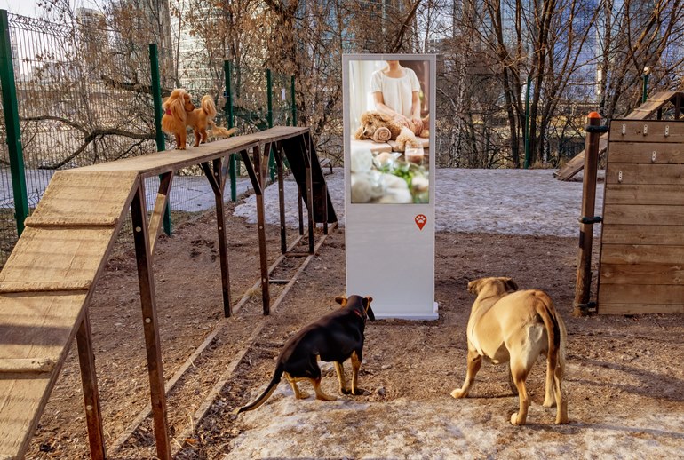 Картинка В Москве установили первую рекламную конструкцию для собак