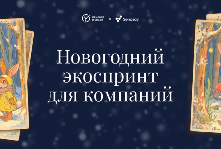 Картинка CDP Sendsay и фонд «Природа и люди» запустили новогодний спецпроект