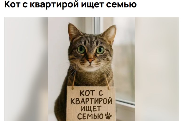 Картинка Девелопер сделал бездомную кошку совладелицей квартиры ради рекламы