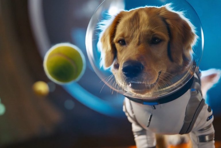 Картинка Ассоциация кинокомпаний раскритиковала OpenAI из-за нейромодели Sora 2