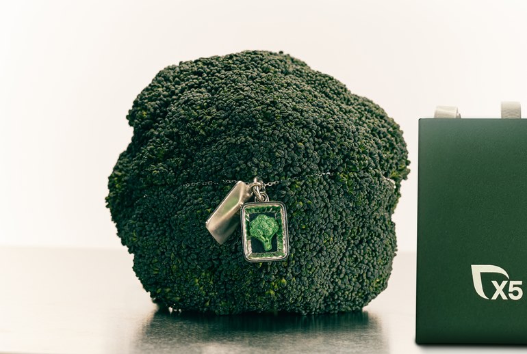 Картинка Х5 выпустила коллекцию украшений в виде готовой еды