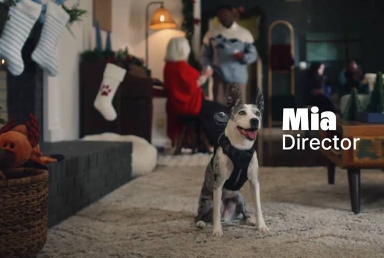 Картинка Бренд Bark показал рекламу, снятую собакой