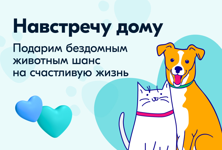 Картинка «Ozon Забота» и Pet Pride решили круглый год радовать бездомных животных