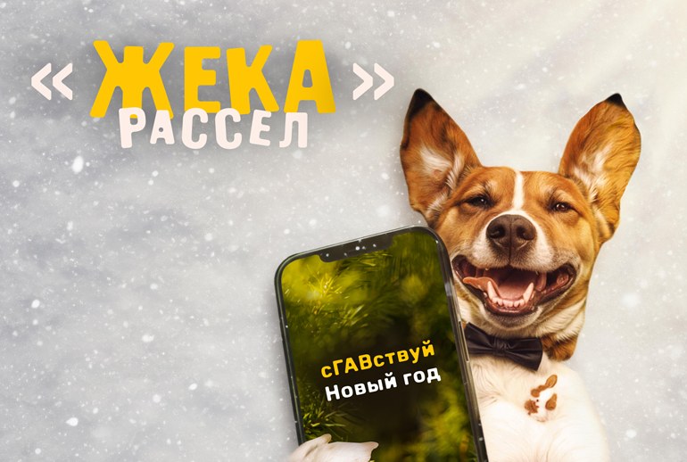 Картинка Джек-рассел-терьеры «записали» новогодние шлягеры