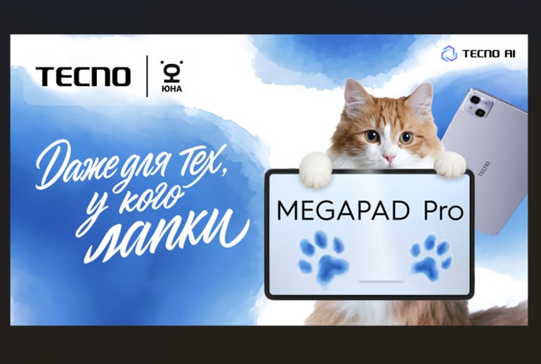 Картинка Сотрудники Tecno провели день с бездомными животными