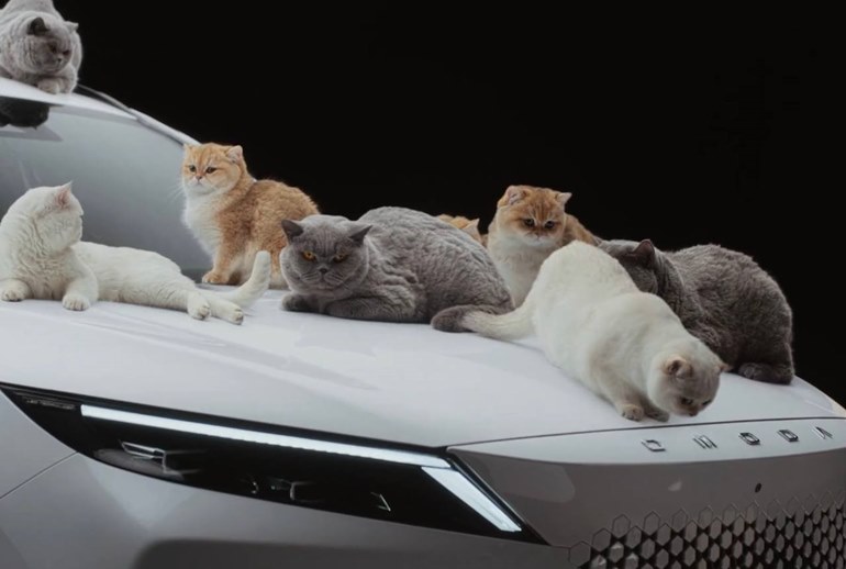Картинка Десятки кошек прорекламировали автомобиль Omoda