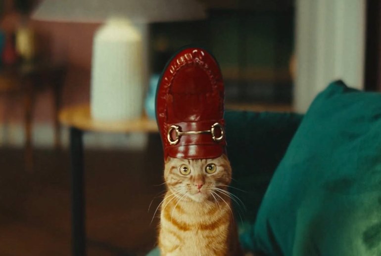 Картинка Рыжий кот стал иконой моды в рекламе TK Maxx