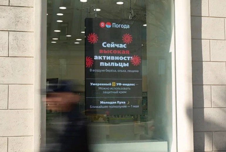 Картинка «Яндекс» вывел данные о пыльце и ультрафиолетовом излучении на цифровые экраны 