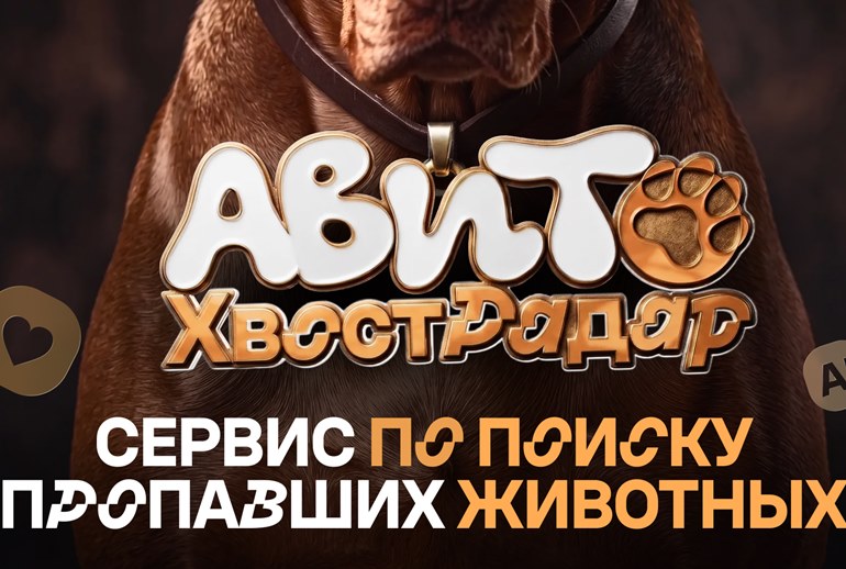 Картинка «Авито» создал сервис для поиска потерянных питомцев