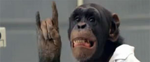 Картинка Рекламная кампания с Оззи Осборном и обезьянами была остановлена