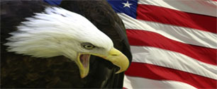 Картинка США - самый привлекательный национальный бренд 2009 года