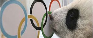 Картинка Медведев утвердил написание олимпийских слов