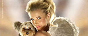 Картинка Ангелы PETA – голые и знаменитые