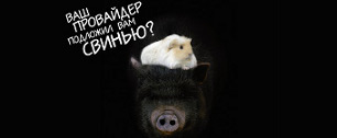 Картинка Grey Moscow о свиньях под провайдерами