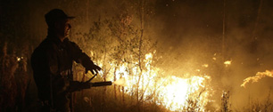 Картинка Сотовые операторы обсуждают тариф «Пожарный»