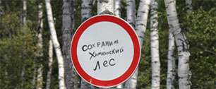 Картинка Медведев приостановил вырубку Химкинского леса