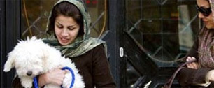 Картинка В Иране запретили рекламу товаров для животных