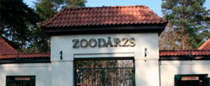 Картинка Пол бегемота Фунтика скрыли для рекламы зоопарка