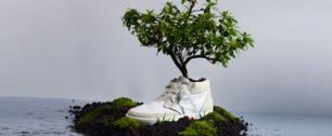 Картинка Голландские дизайнеры создали эко-обувь