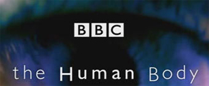 Картинка Канал BBC осудили за съемки реальной смерти человека