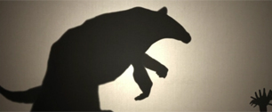 Картинка WWF: Театр теней изобразил погибающих животных саванны 