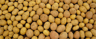 Картинка Производитель чипсов Lay’s просит продлить нулевые пошлины на импорт картофеля