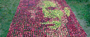 Картинка Яблочный портрет Стива Джобса