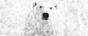 Картинка Coca-Cola меняет красный цвет на белый ради полярных медведей