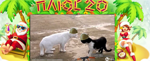 Картинка «Горячая  двадцатка» видеороликов 2011 года по версии RuTube 