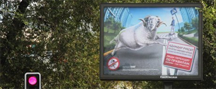 Картинка Создатели билбордов "пешеходы-бараны" не хотели обидеть алматинцев